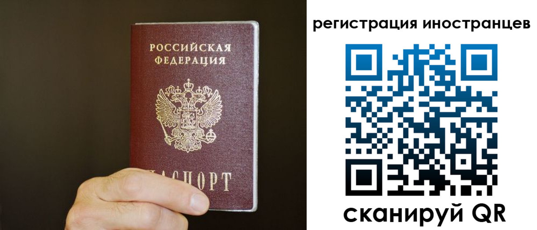 прописка в Волчанске